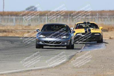 media/Nov-16-2024-CalClub SCCA (Sat) [[641f3b2761]]/Group 1/Star Mazda (Qual)/